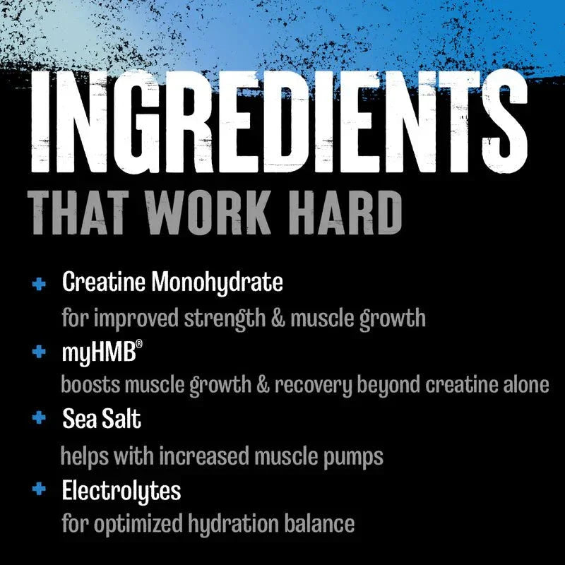 Animal Creatine HMB+ - Creatine and HMB Supplement - Midwest Vitamins & Wellness