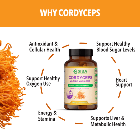 Product image of Cordyceps Mushroom Capsules available at Midwest Vitamins & Wellness
