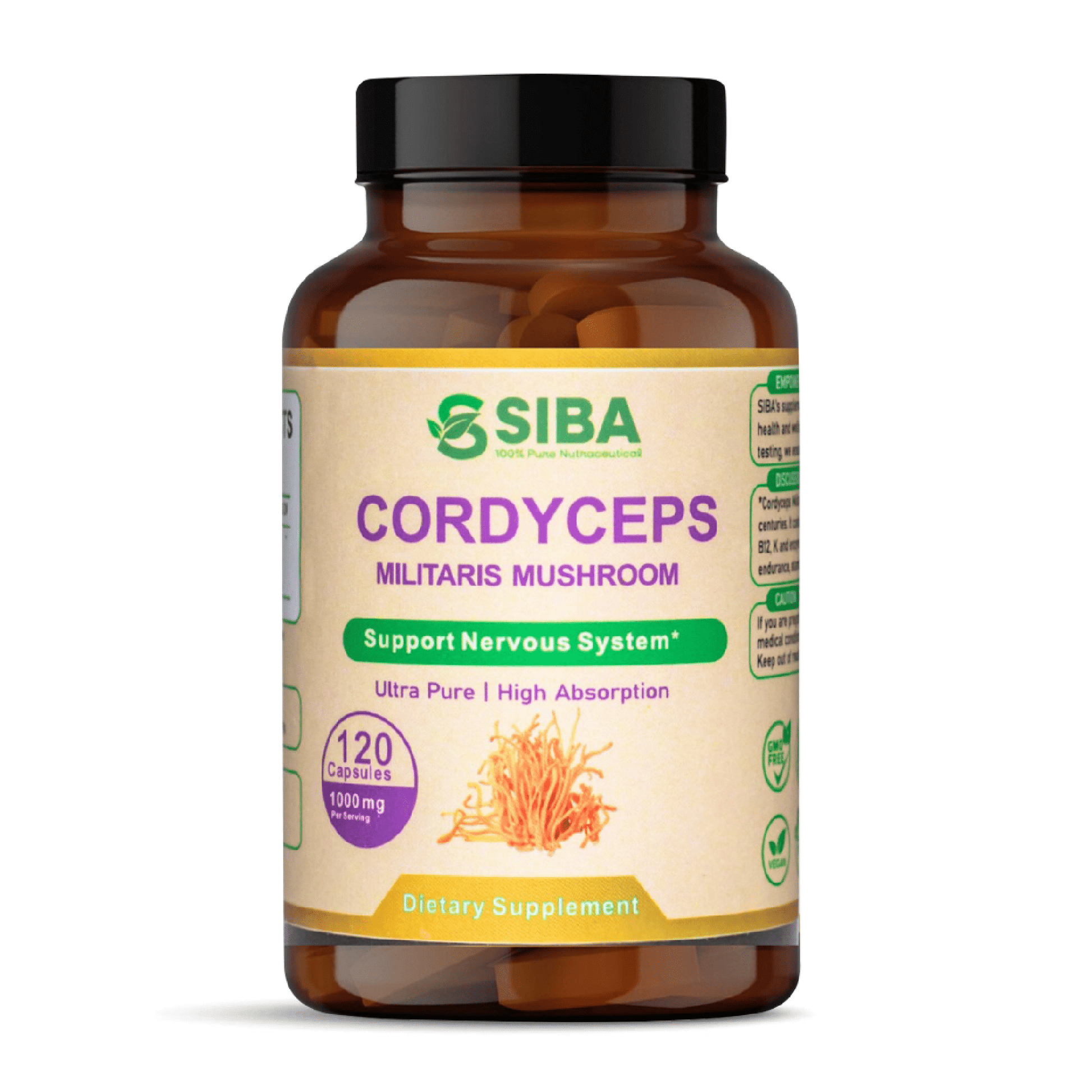 Product image of Cordyceps Mushroom Capsules available at Midwest Vitamins & Wellness

