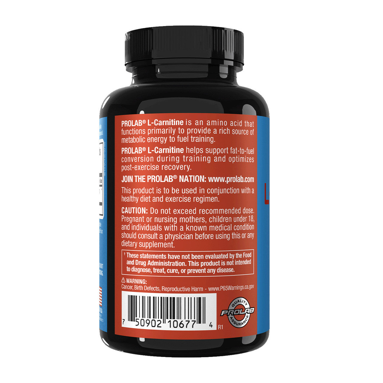 Back view of a black plastic supplement bottle with a ribbed black cap, showing the red and white Prolab L-Carnitine label on a white background.