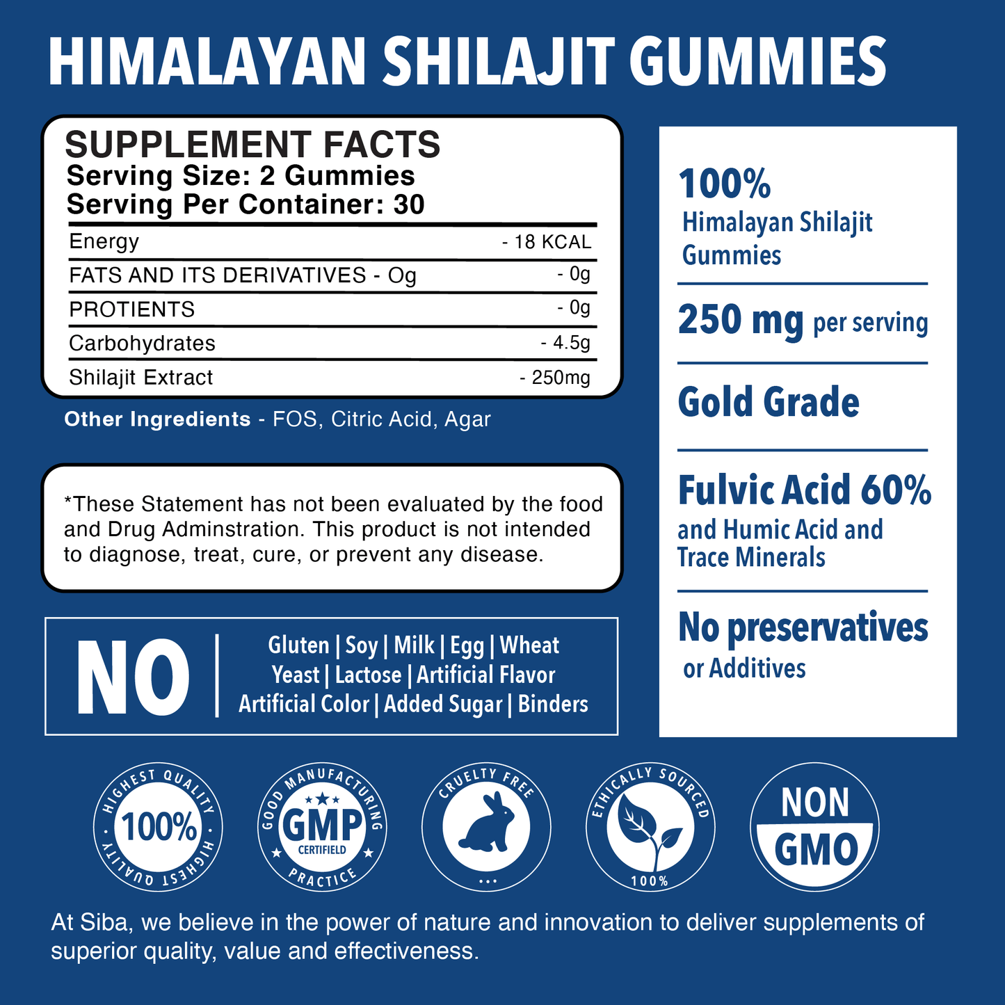 Himalayan Shilajit Gummies supplement facts label on a blue background