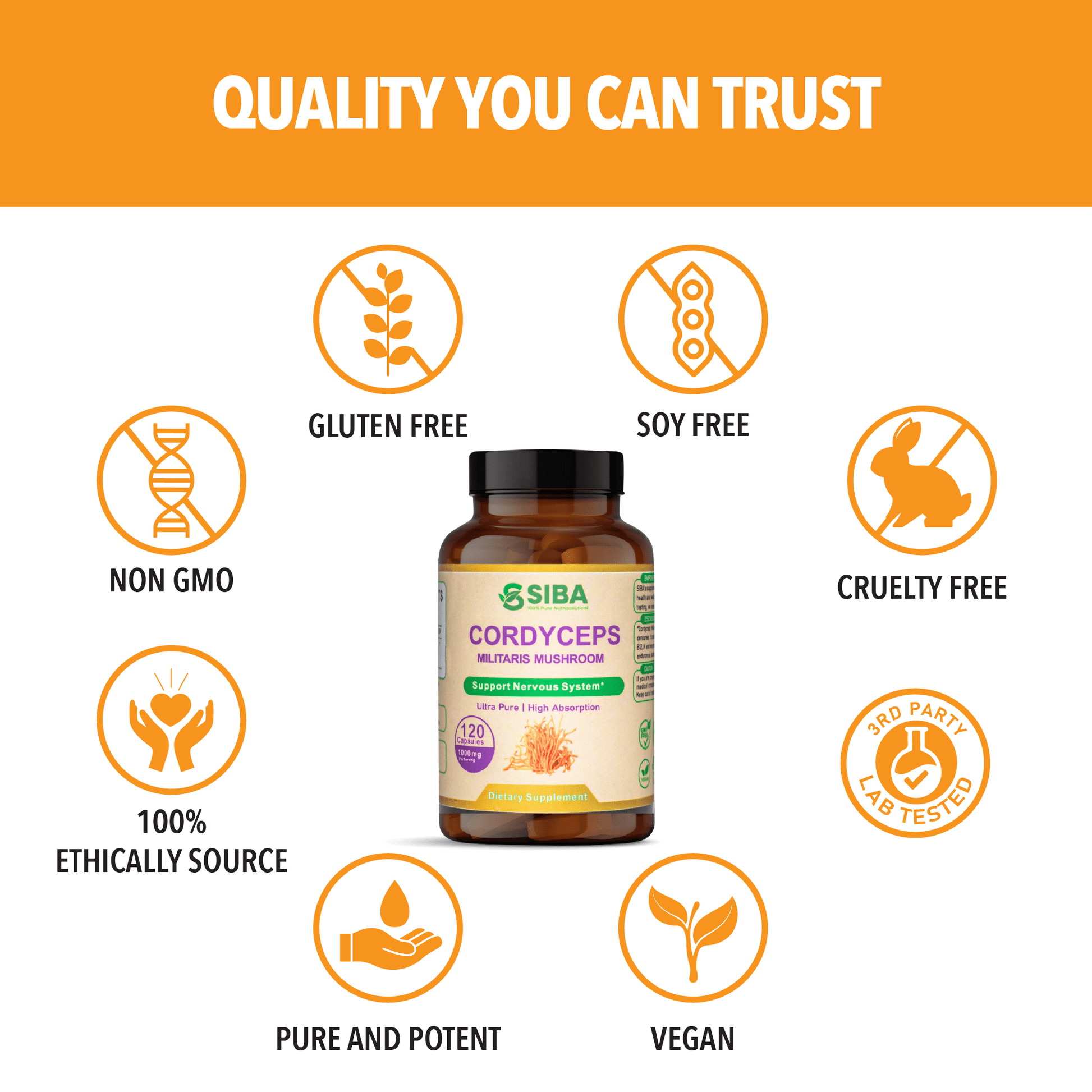 Product image of Cordyceps Mushroom Capsules available at Midwest Vitamins & Wellness
