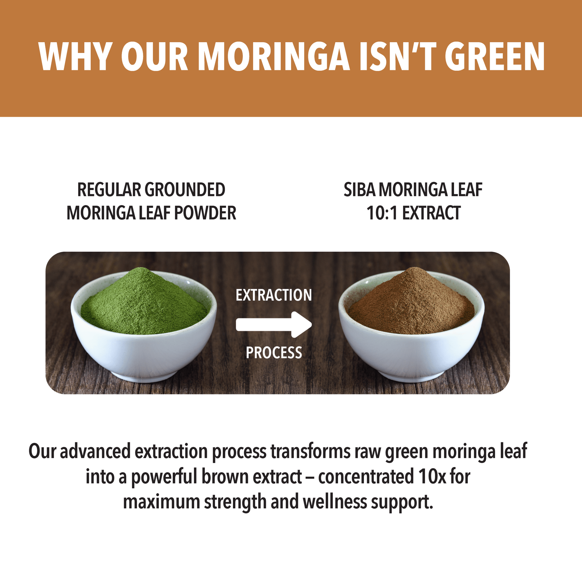 Comparison of regular ground moringa leaf powder and Siba moringa leaf 10:1 extract with text explaining the extraction process.