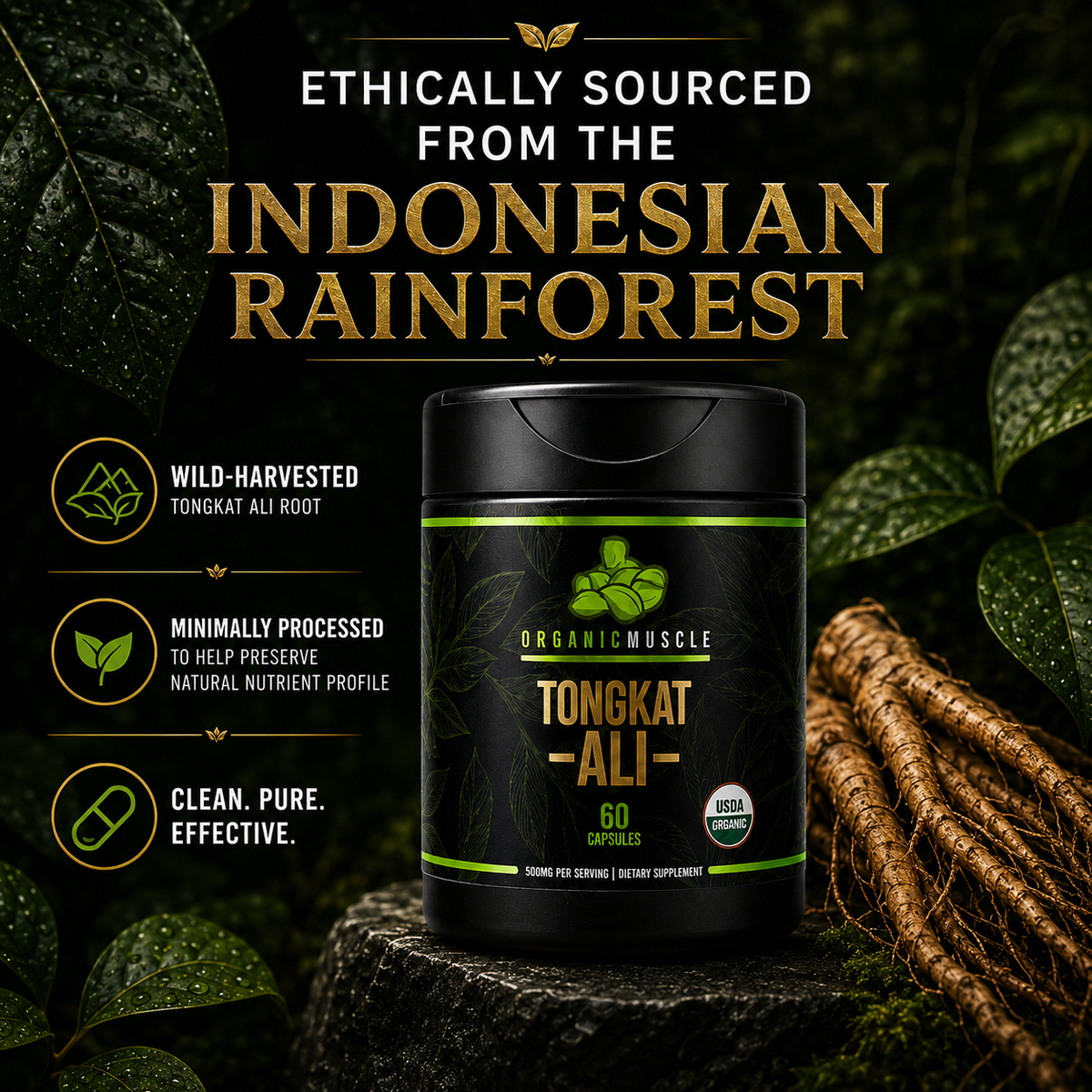 Organic Muscle Tongkat Ali, 60 Capsules