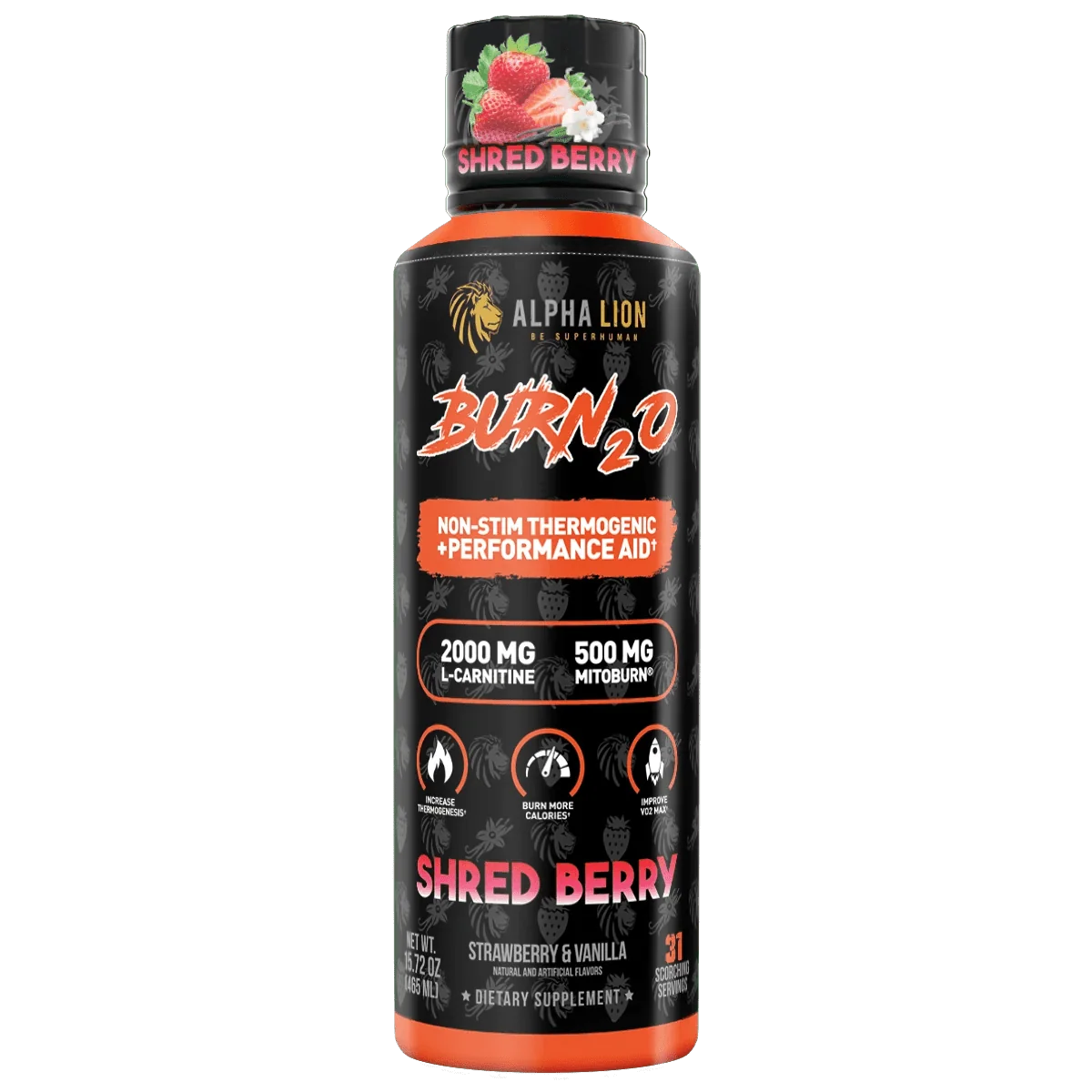 Alpha Lion BURN2O – Stimulant-Free Liquid Dietary Supplement, 31 Servings
