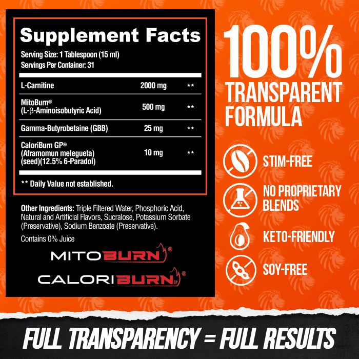 Alpha Lion BURN2O – Stimulant-Free Liquid Dietary Supplement, 31 Servings