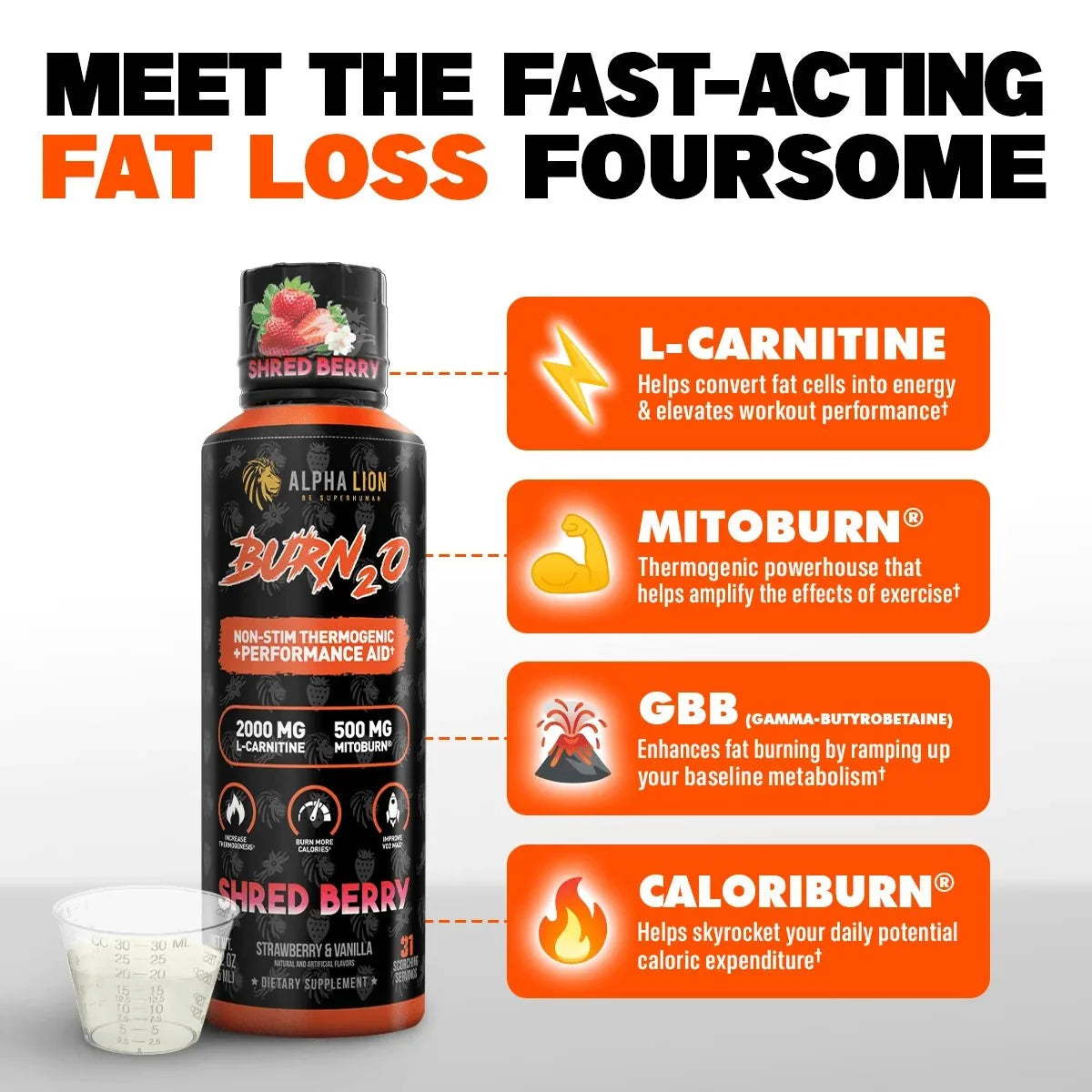 Alpha Lion BURN2O – Stimulant-Free Liquid Dietary Supplement, 31 Servings