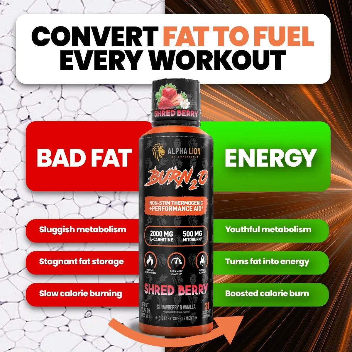 Alpha Lion BURN2O – Stimulant-Free Liquid Dietary Supplement, 31 Servings