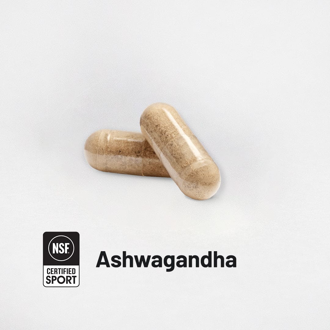 Ashwagandha (KSM-66): Bottle (60 Count)