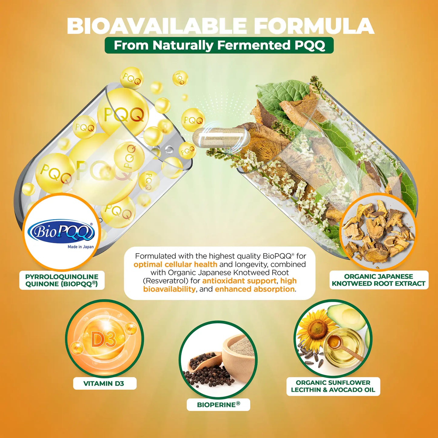 BioPQQ® 20mg Mitochondrial Energy & Memory Supplement