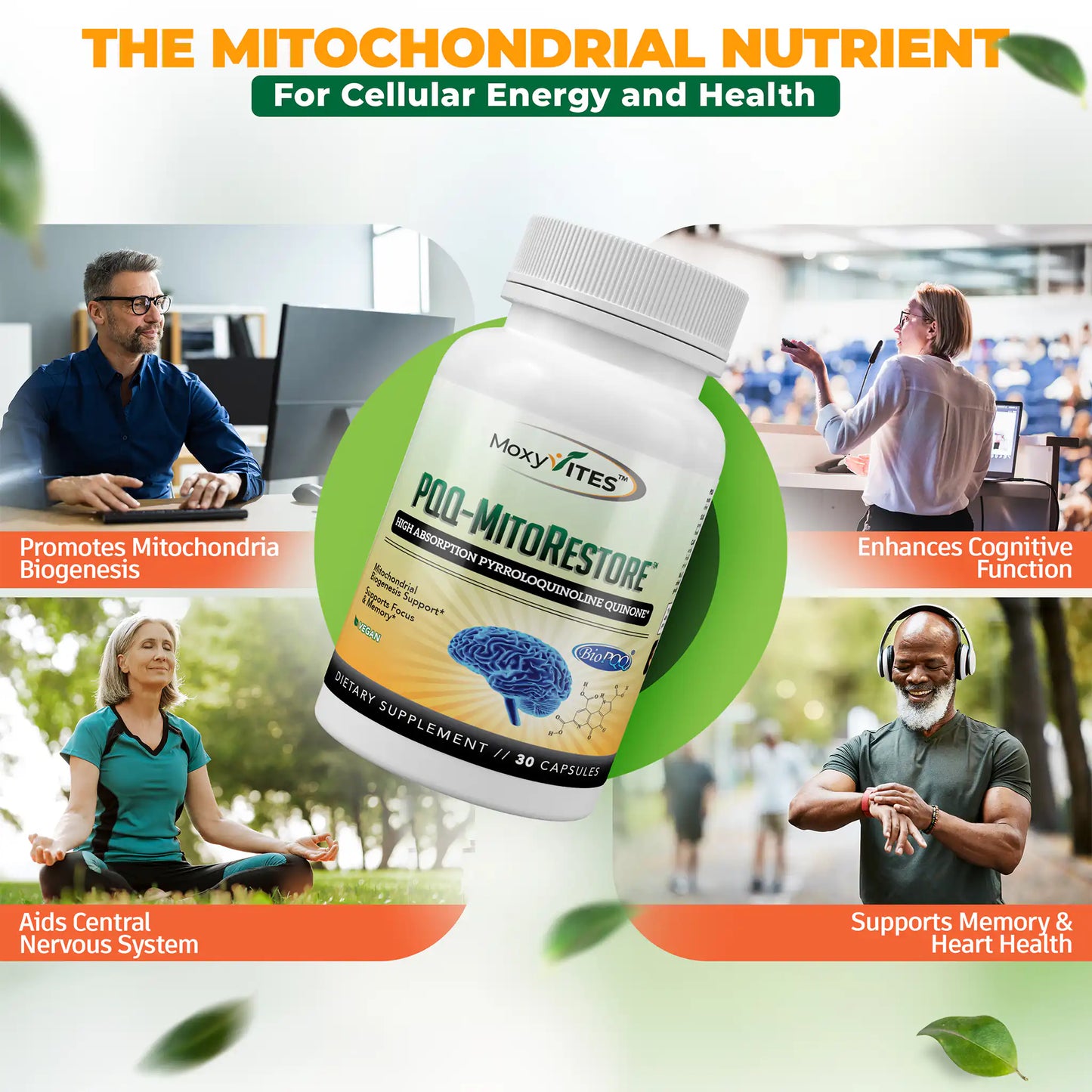 BioPQQ® 20mg Mitochondrial Energy & Memory Supplement