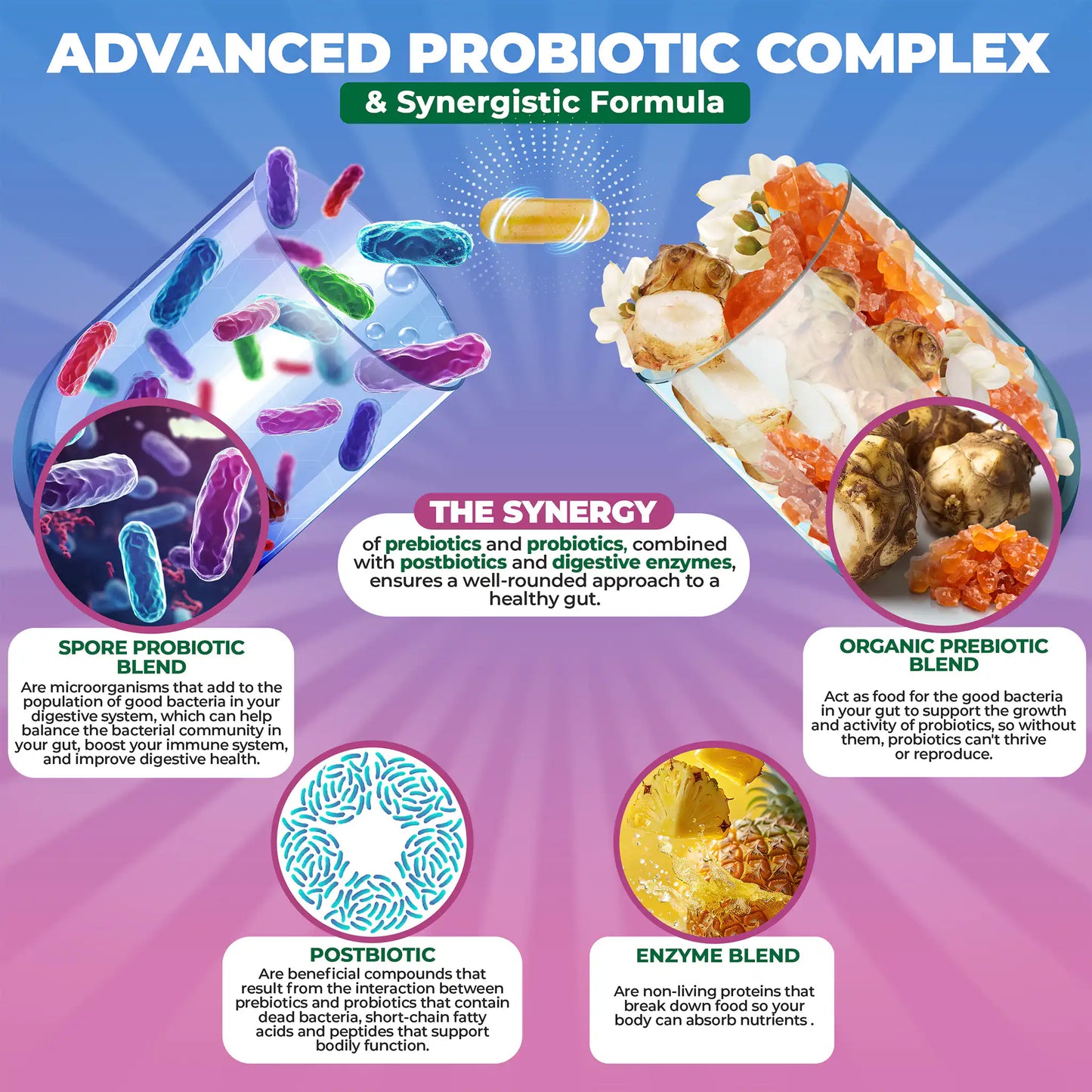 Spore Probiotic Complex with Prebiotics & Enzymes