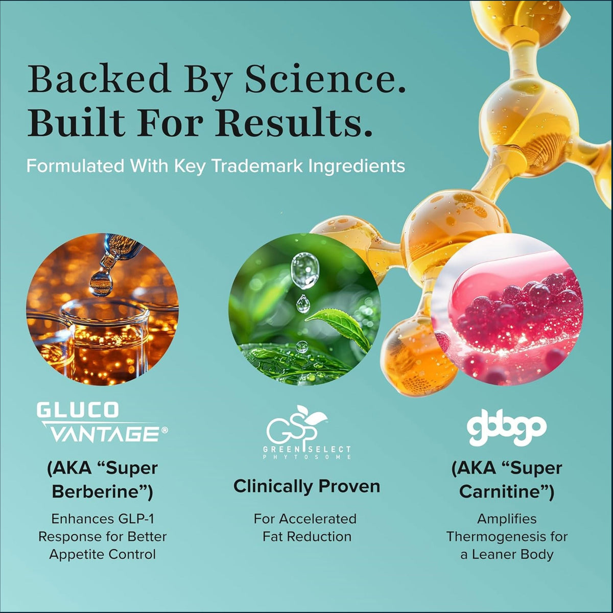 Promotional graphic with a teal background, large headline reading 'Backed By Science. Built For Results.