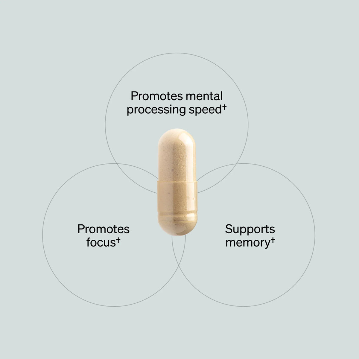 Onnit Labs Alpha Brain Memory & Focus Support - 30 Capsules