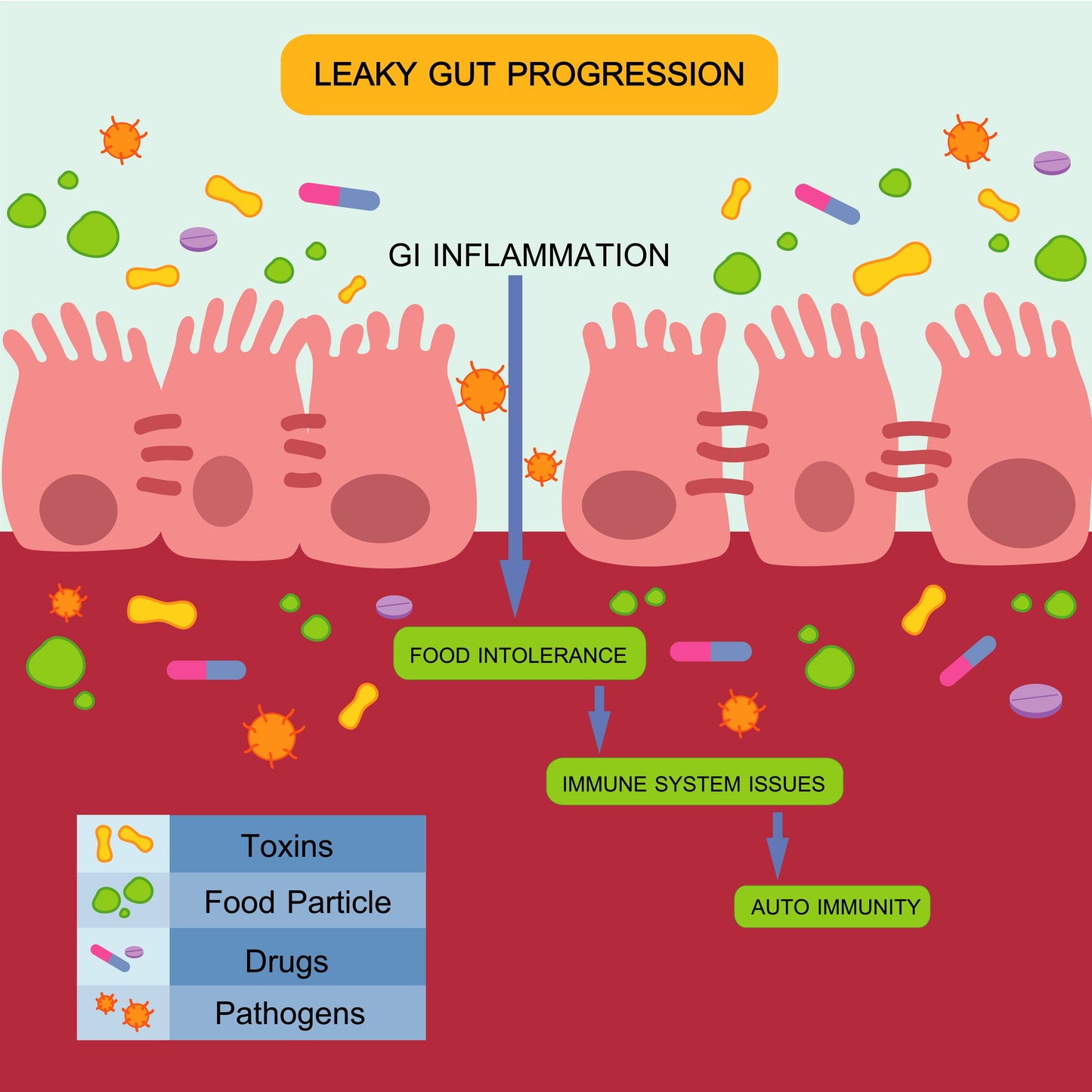 Diagram of leaky gut progression with inflammation, food intolerance, and immune system issues.